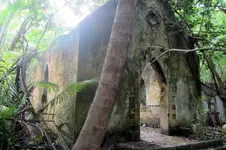 Chagos 113.webp