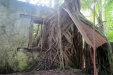 Chagos 115.webp