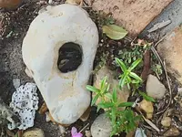 20180808_090147.webp