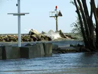 DSCN5511.webp