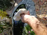 20180808_090215_HDR.webp