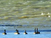 DSCN5530.webp