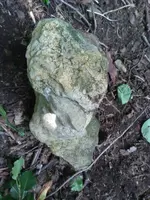 1531149338939.webp