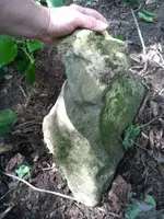 1531149390522.webp
