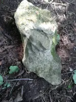 1531149499336.webp