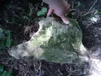 1531149542934.webp