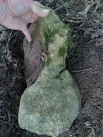 1531149646347.webp