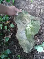 1531149824290.webp