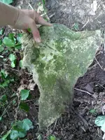 1531149847705.webp