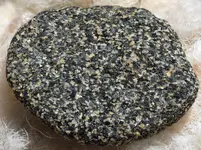 rock2.webp