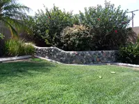 100_0243.webp