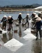 Harvesting-Salt-Hon-Khoi-Vietnam.webp