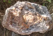 DSCF8545.webp