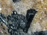 20180719_173744.webp