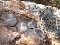 DSCF8553.webp