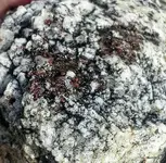 20180808_085917-1.webp