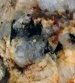 20180808_085656-1.webp