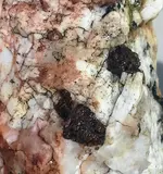 20180808_085634-1.webp