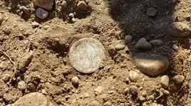 dime.webp