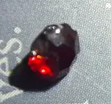 20180816_174953.webp