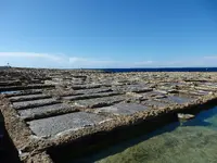 P4020238.webp