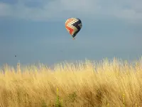 walk 082518 8.webp