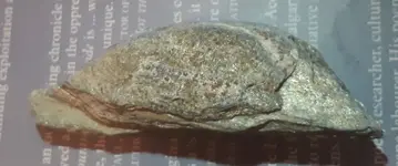 20180816_183529.webp