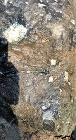 ImageUploadedByTreasureNet.com1536799737.144393.webp