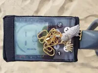OWLPIC1.webp