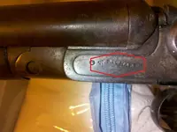 shotgun 2.webp