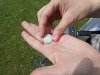 DSCN2355.webp