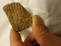 20180709_211736.webp