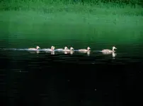 K1600_008.webp