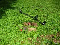IMG_2355.webp