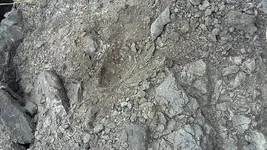 20180726_182724.webp