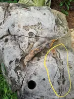 IMG-20180818-WA0008.webp