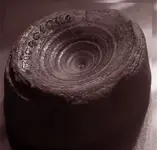 tire.webp