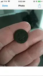 mike button.webp