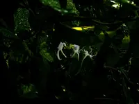 DSCN2107.webp