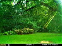 MFDC1501.webp