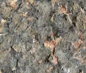 close up.webp
