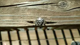 IMG_20180710_091213149.webp IMG_20180710_091213149.webp