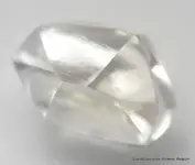 raw uncut diamond.webp