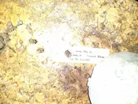 IMG_20180826_183448945.webp