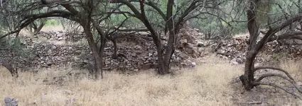 Old Ruins Kearny AZ..webp