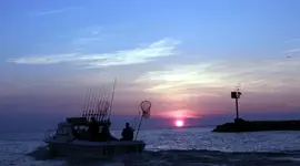 sun4.webp