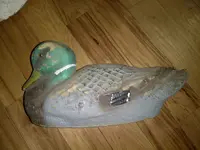 IMG_20180826_183610534.webp