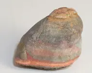 sediment rock.webp
