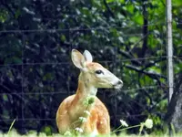 DSCN6819.webp