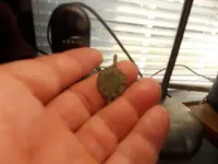 DSCN0519.webp